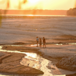 نهر الدانوب بعد جفافه (أ ف ب)