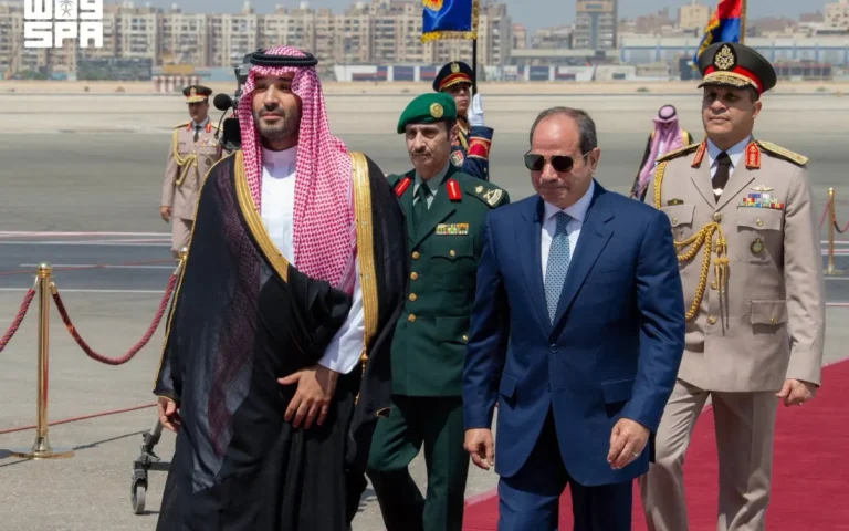 السيسي وولي العهد السعودي (أ ف ب)