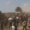Palestinians flock to the Zikim crossing to acquire limited food aid.AFP