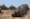 Israel Expands Ground Operations in Gaza City
