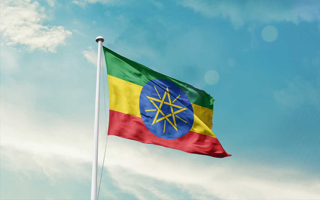 Ethiopia's Afar Region Under Attack from Tigrayan Forces