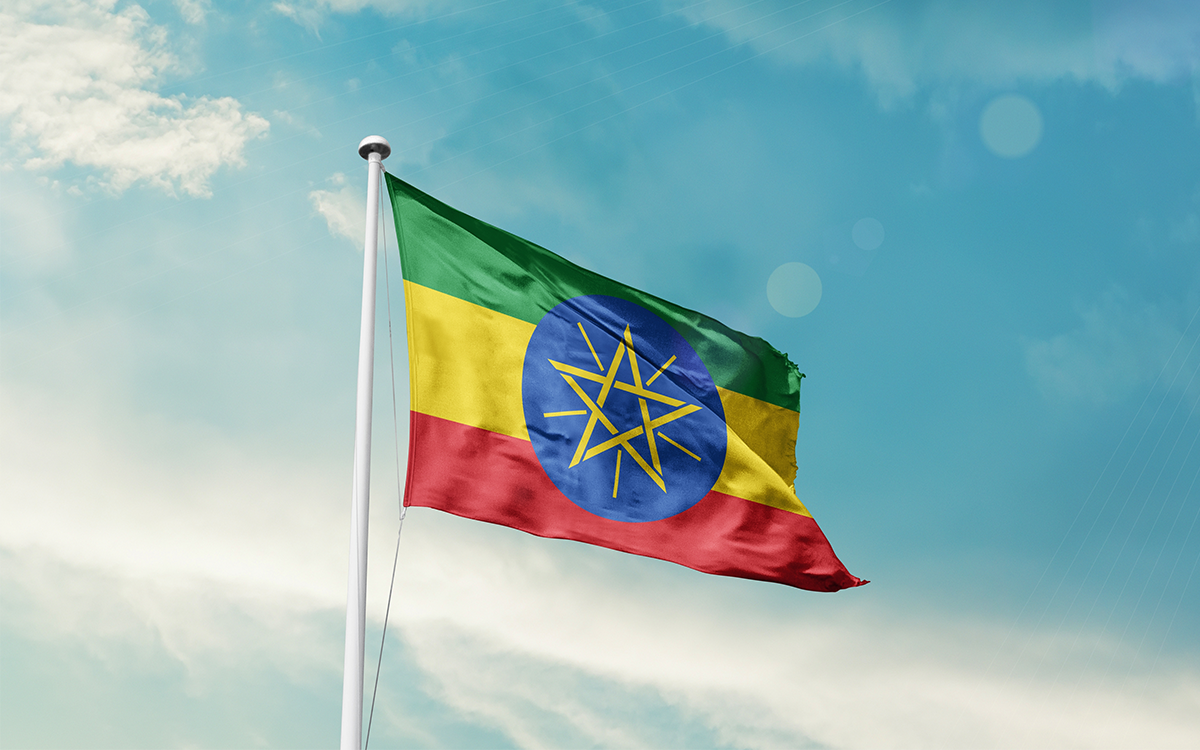 Ethiopia's Afar Region Under Attack from Tigrayan Forces