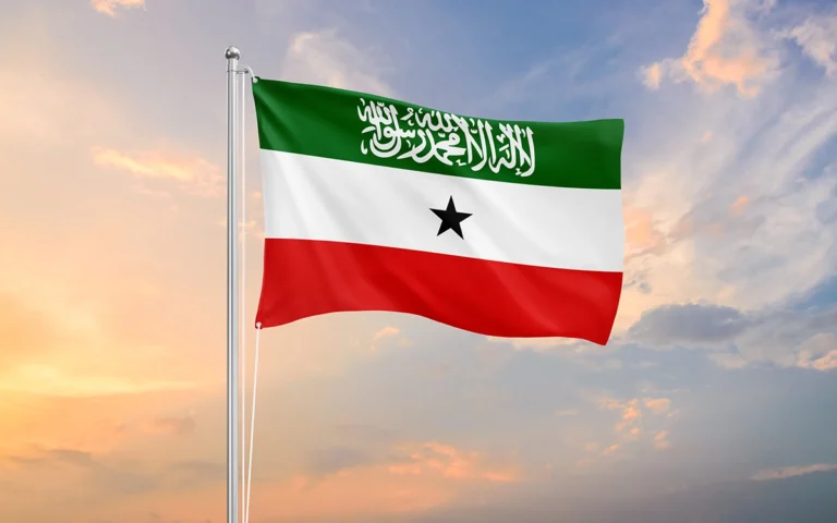 Minister Says US Can Access Minerals, Military Bases in Somaliland