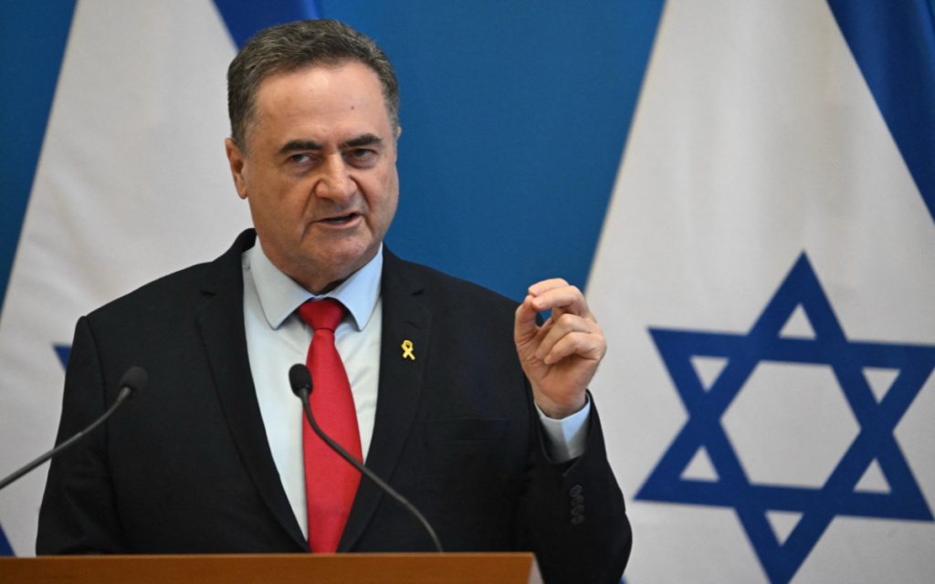 Israel's Foreign Minister Israel Katz